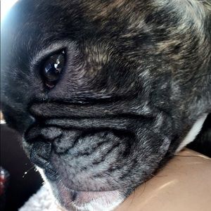 Meet your Posher, Markus